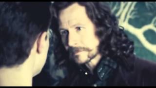 Обложка Harry Potter TFK War Of Change Обложка Harry Potter TFK War Of Change