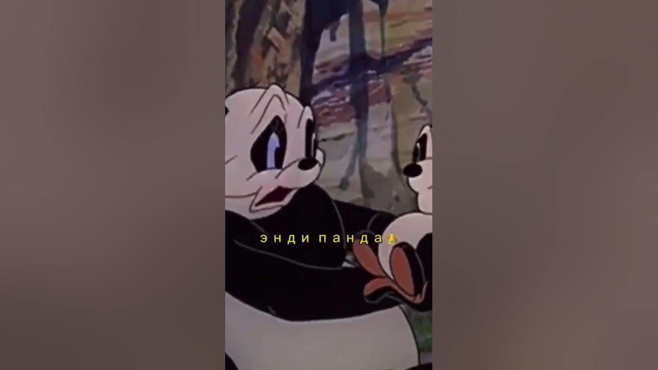 энди понда🐼🖤 #эндшпиль - YouTube