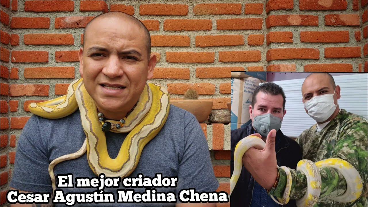 En Memoria a Cesar Agustín Medina El mejor criador de pitones en