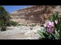 أجمل المناظر الطبيعية  الجزائر (الدرمون كيمل)  باتنةl