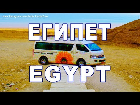 БЕСПЛАТНЫЙ трансфер. АЭРОПОРТ ОТЕЛЬ. Coral beach resort. Sharm el sheikh. Dahab Regina Nuweiba. Редж