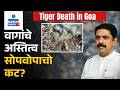 Tiger Death Mystery Deepens With Missing Body Parts | Gomantak Tv