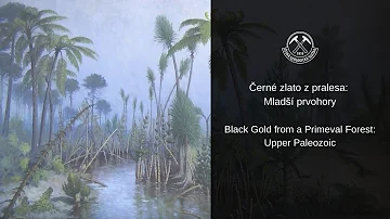 Co je kamenné uhlí?
