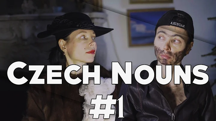 Czech Nouns #1