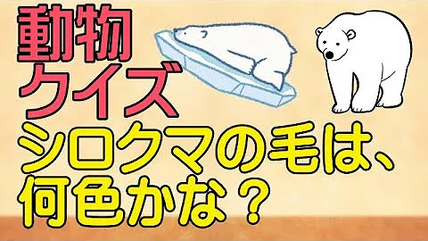 まるばつクイズ 落ちる