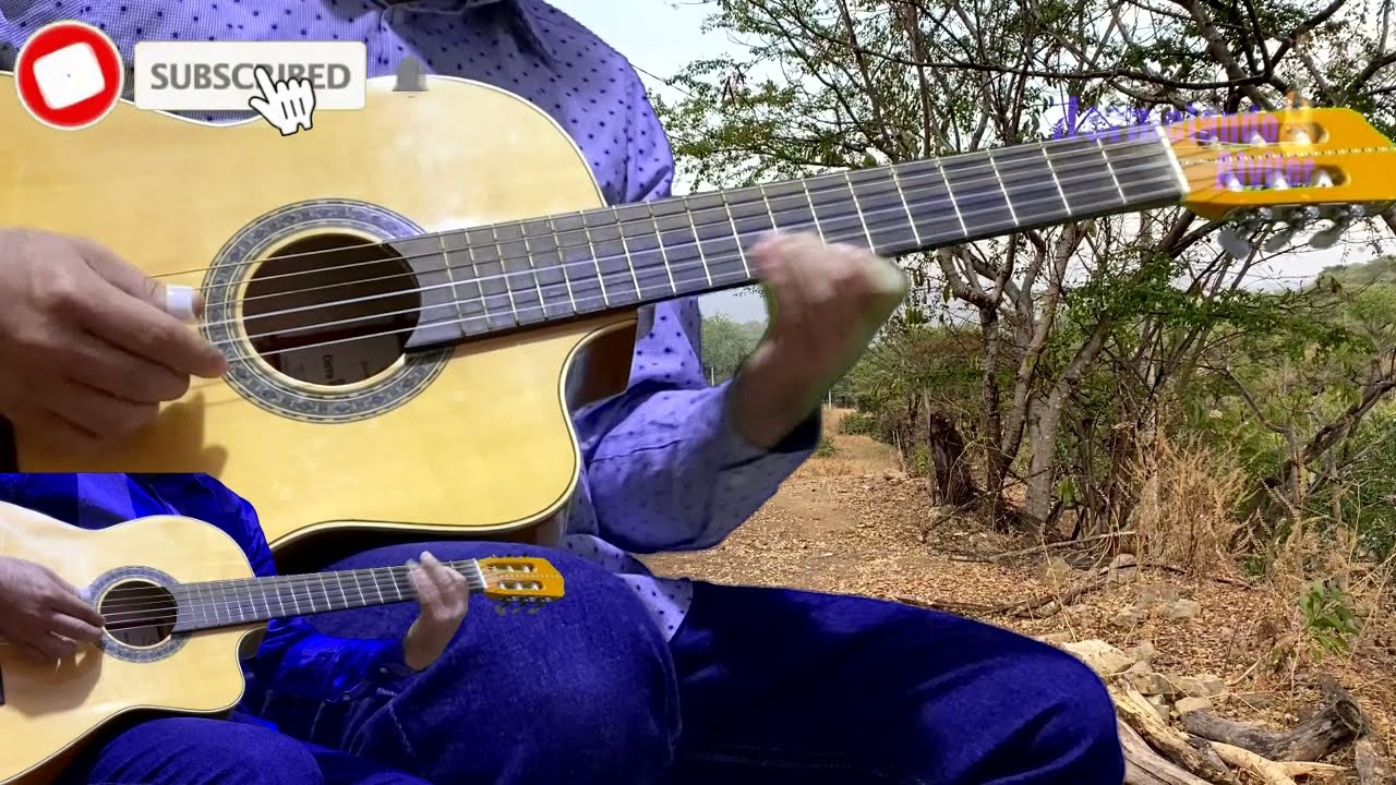 La Mesera - Instrumental Guitarras - Hermelando Alvíter