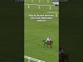 The jockey will forgive him when he’s THAT good #cheltenhamfestival #horseracing #horses