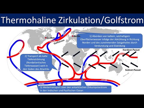 Video: Welche globalen Auswirkungen hat das Ozeanförderband?