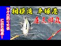 【相模湾】キハダマグロ釣り大会にいきなり出ちゃいました❕