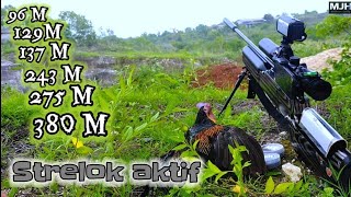 380 meter / 415 yard moments berburu ayam hutan | MjH | Madura