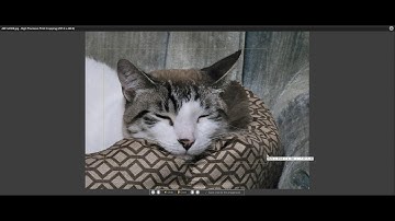 Qimage Ultimate - Video Response