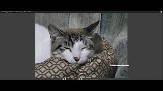 Famous Qimage Ultimate - Video Response Net Worth