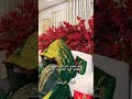 البسي خاتم هناك لحن عزو وصوف جديد 2025 قابله للتعديل تركي الراشد 