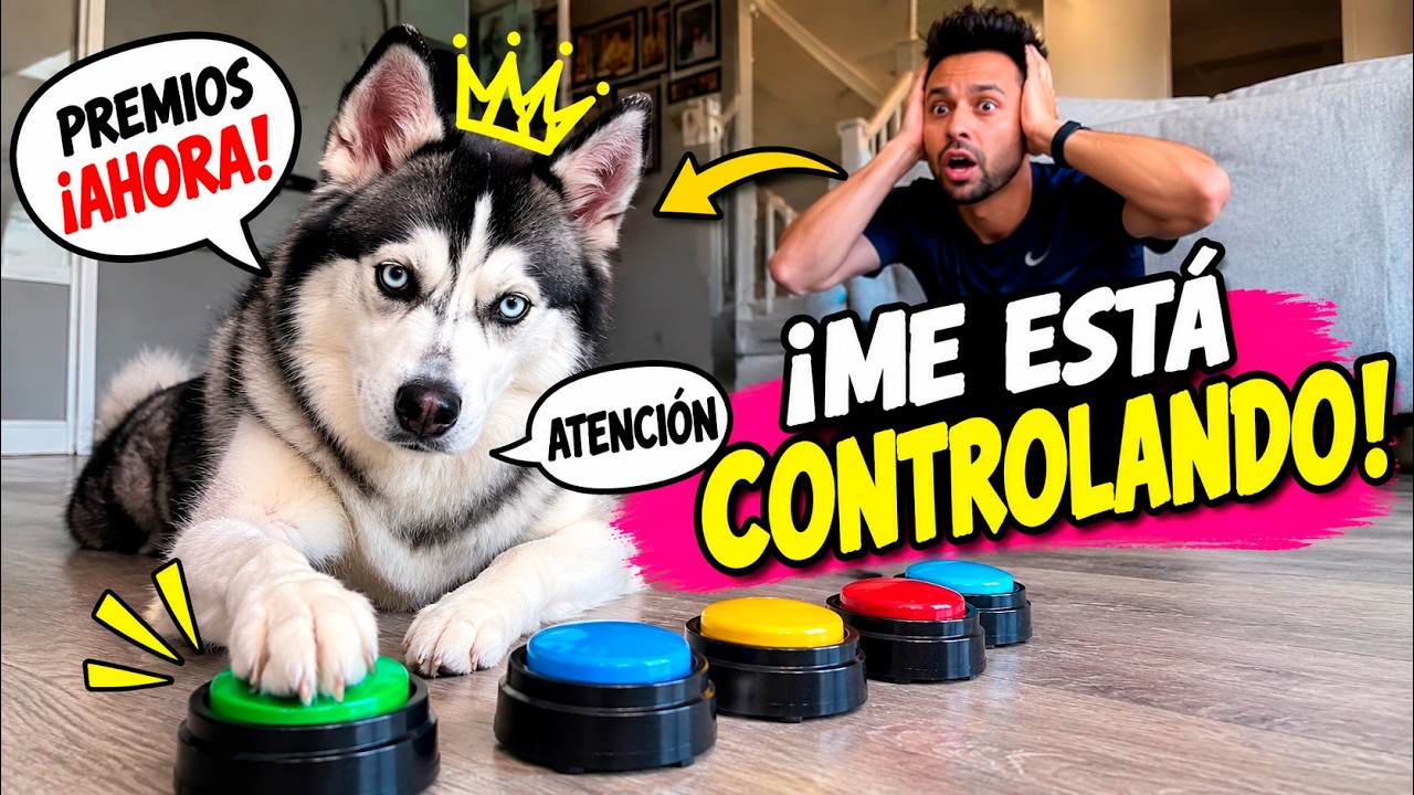 Latest Title & Thumbnail