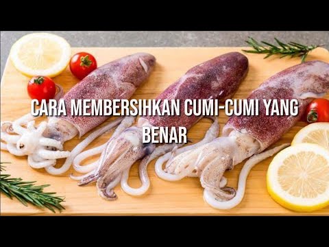 Video: Cara Mencairkan Cumi