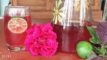 Công dụng chữa bệnh của LÁ TÍA TÔ | sống khoẻ tự nhiên