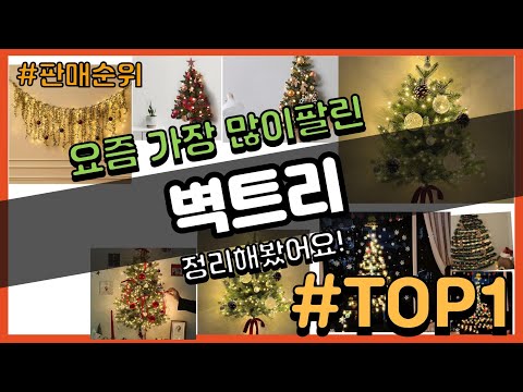 벽트리 추천 판매순위 Top10 || 가격 평점 후기 비교