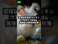 宝塚記念着差ランキングTOP5 1位は6馬身差の歴史的圧勝｜競馬NEWS 2026/6/9 #Shorts