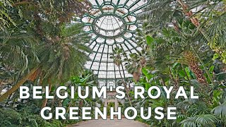 Inside Belgium's ROYAL Greenhouses of Laeken, Brussels