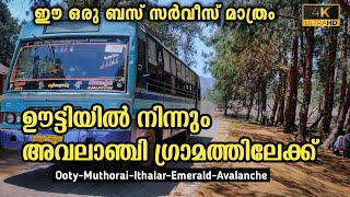 Tnstc Avalanche Trip | Ooty To Avalanche | Via Emerald | Beautiful Route #ooty #avalanche  #emerald