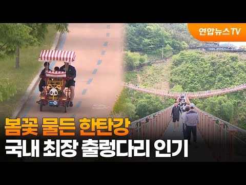 봄꽃 물든 한탄강…국내 최장 출렁다리 인기 / 연합뉴스TV (YonhapnewsTV)