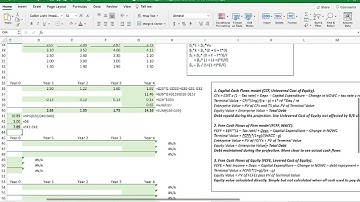 Professor Paul Ahn_Private Equity Investment_Private Equity Valuation. CCF vs FCFF vs FCFE Models