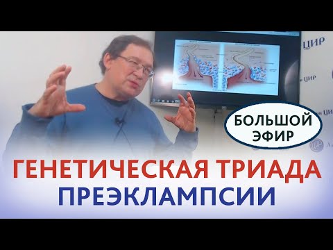Преэклампсия. Генетическая триада преэклампсии: сосудистый тонус, гемостаз, иммунитет. Гузов И.И.