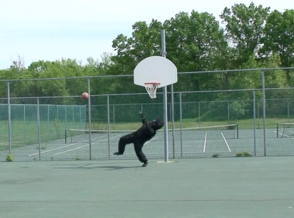 BIGFOOT IS THE WORST BASKETBALL PLAYER EVER YouTube