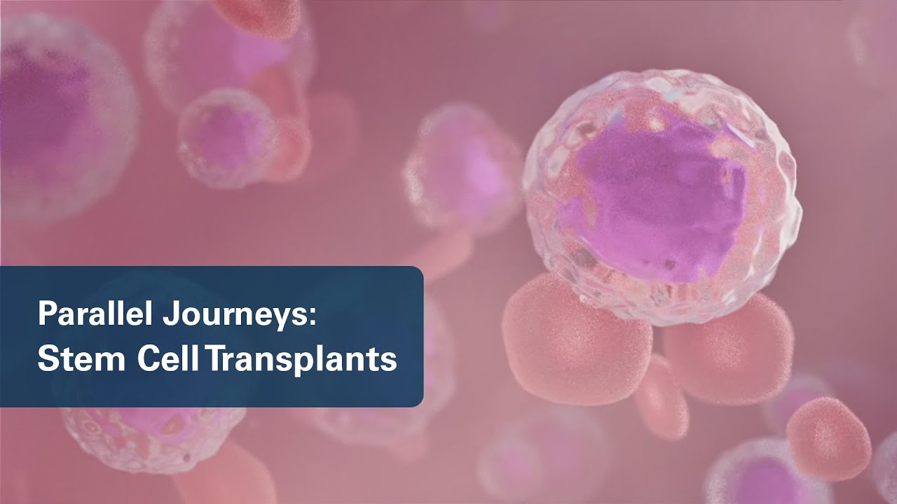Parallel Journeys: Stem-Cell Transplants