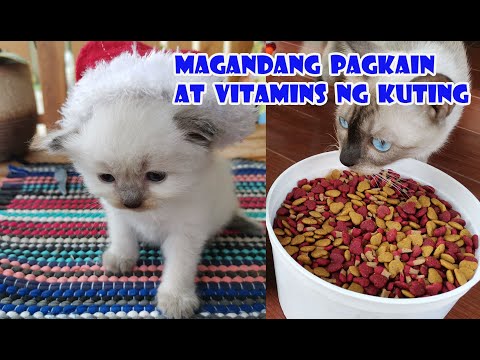 Video: Paano Pumili Ng Nakahandang Pagkain Na Pusa