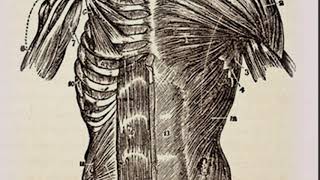 KURE Massage & Bodywork L L C
