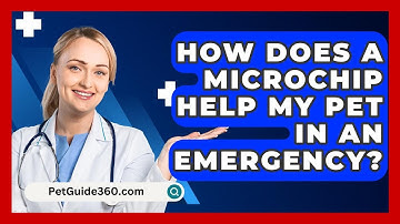 How Does A Microchip Help My Pet In An Emergency? - PetGuide360.com