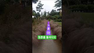 #청춘을돌려다오나훈아  #감성풍경  비오는날에 . .