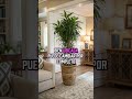 Cómo las plantas elevan la energía del hogar. (Tu casa también siente)