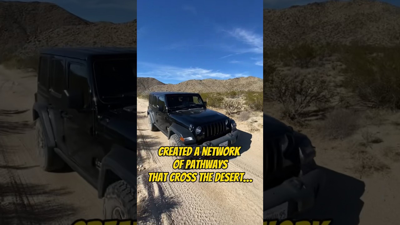 History of the Mojave Road ⛺️ 