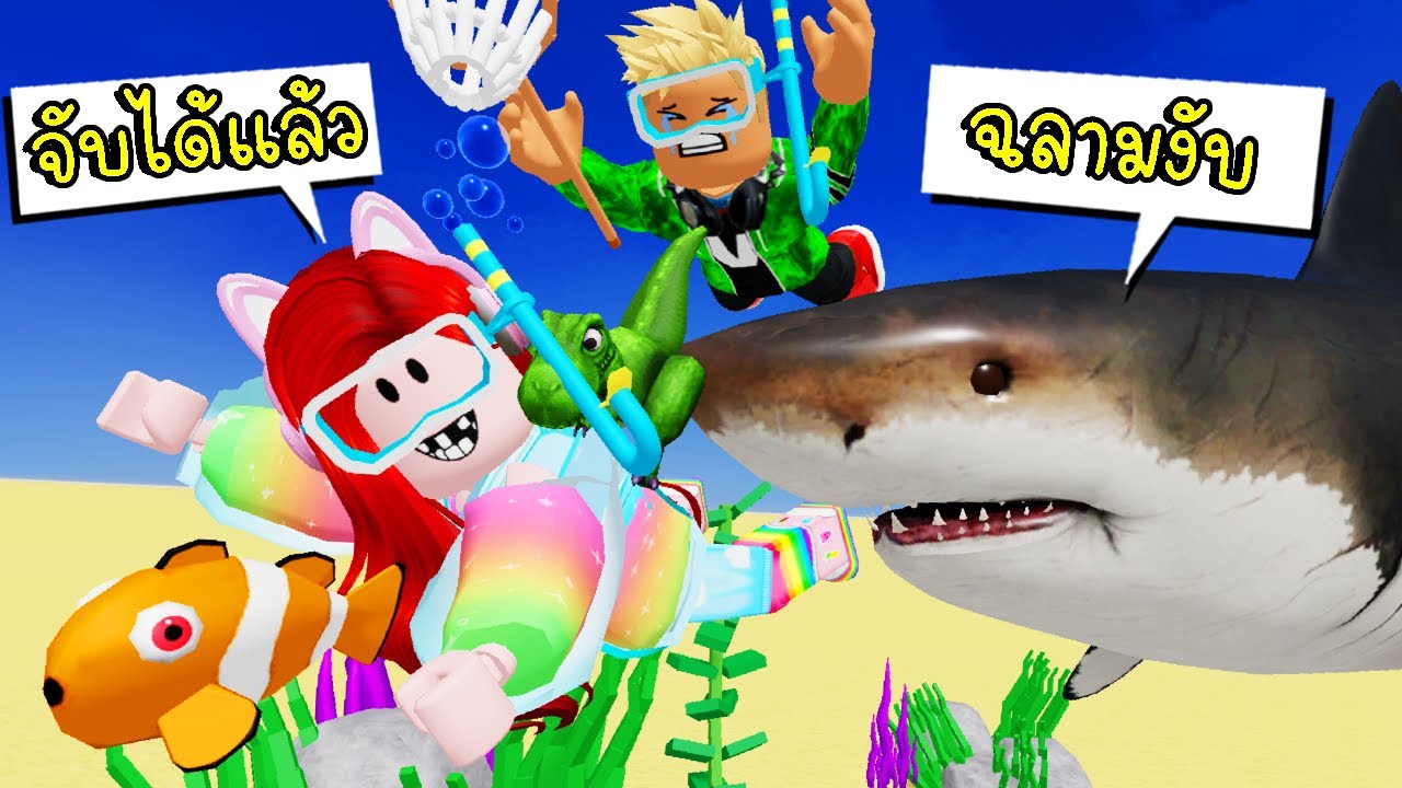 จับฉลาม เพื่อสร้างอควาเรียมสุดหรู ????????Roblox Sea Life Tycoon