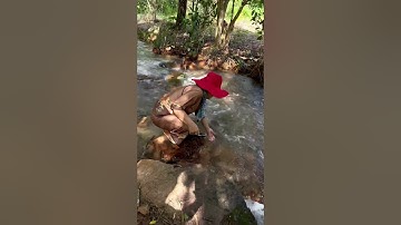 Tu đâu cho bằng tu nhà. Thờ Cha kính Mẹ mới là chân tu #chaumyngan #vlog #vulanbaohieu #shorts