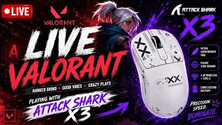 Can This Mouse Make Me Better? Attack Shark X3 Valorant LIVE