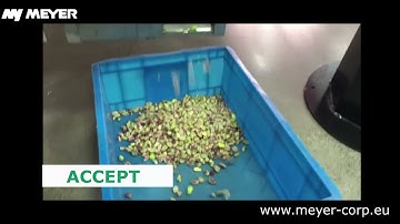 MEYER Pistachio optical sorting // Sortowanie optyczne pistacji