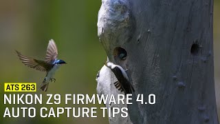 Approaching The Scene 263: Nikon Z9 Firmware 4.0 Auto Capture Tips