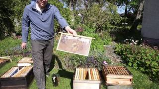 Swarm Control - Pagden method