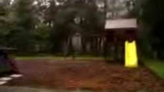 a typical summer thunderstorm in florida:(