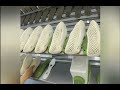Inside a Real Footwear Factory | How ChampMax Delivers Quality, Speed & Trust Worldwide