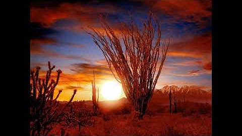 ماتيسر من القرٱن الكريم بصوت القارئ مازن الذماري الجزء الثاني