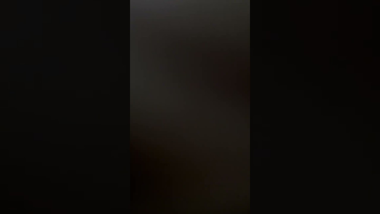 松ぼっくりって、住むには結構いいよ多分