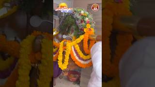 Palkhi Decoration | Shri Purushartha Aniruddha Dham Pratishthapana ‘Uttarang’ | Aniruddha Bapu