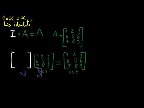 Vidéo: Comment transformer une matrice en matrice d'identité ?