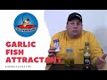 Homemade Garlic Fish Attractant; Make your own scent cheap