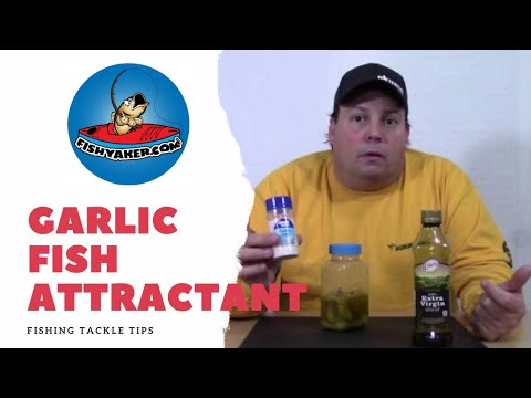 Homemade Garlic Fish Attractant; Make  your own scent cheap!: Episode 224
