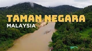 TAMAN NEGARA, Malaysia: Jungle Trek & CANOPY WALK   Elephants and Waterfalls